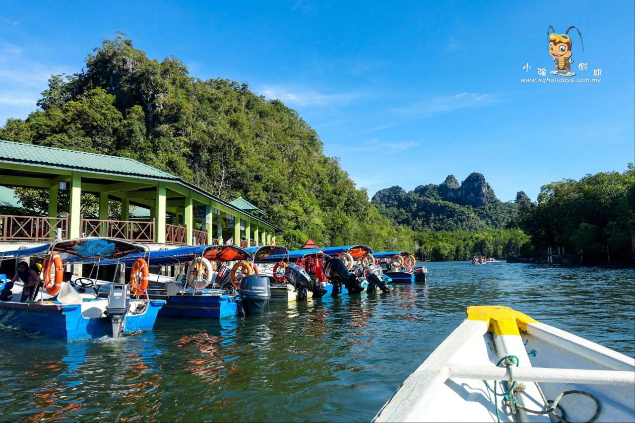 Jelajahi Ekosistem Mangrove Langkawi dengan Tur Menakjubkan