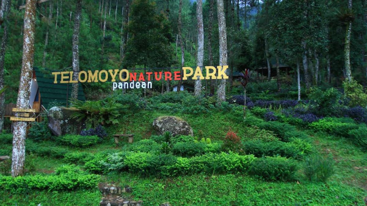 Telomoyo Nature Park: Petualangan Menakjubkan di Lereng Gunung